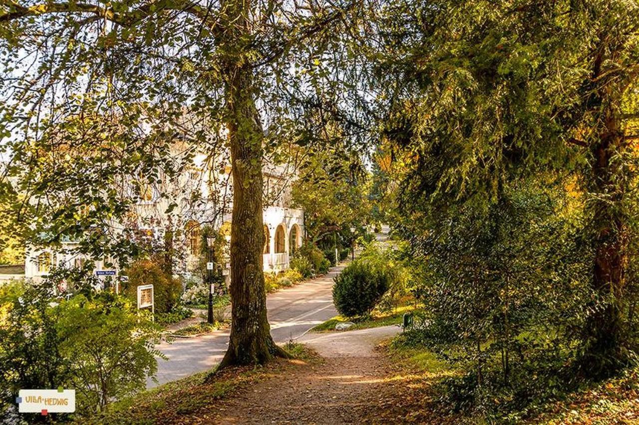 Villa Hedwig Badenweiler Eksteriør billede